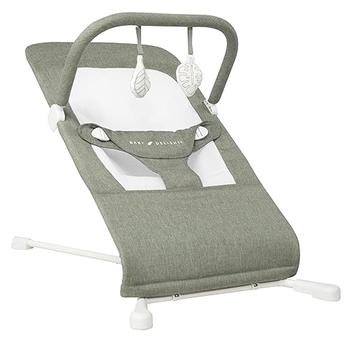 Baby Delight Highland Baby Bouncer | Infant | 0 – 6 Months | 3-Position Recline | Pebble Grey - Jamouz