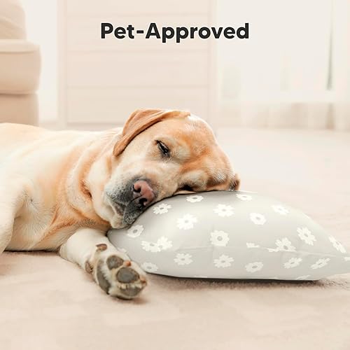 Toddler Pillow with Pillowcase - 13x18 My Little Cuddly Pillow, Viscose Derived From Bamboo Nursery Toddler Pillows for Sleeping,Kids Pillow,Small Travel Pillows,Mini Toddler Bed Pillow (Meadow) - Jamouz