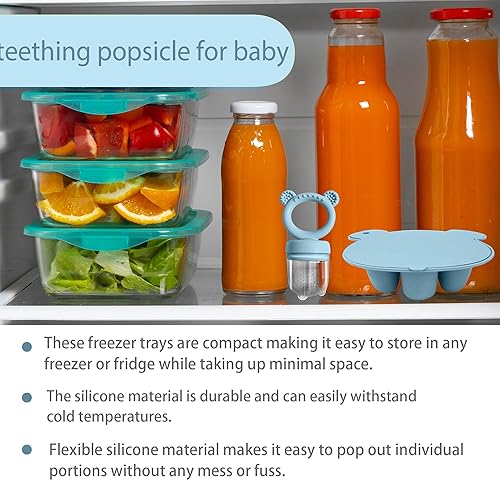 Baby Food Freezer Tray and Teething Popsicle Molds – The Perfect Solution for Your Little One's Teething and Feeding Needs - Jamouz