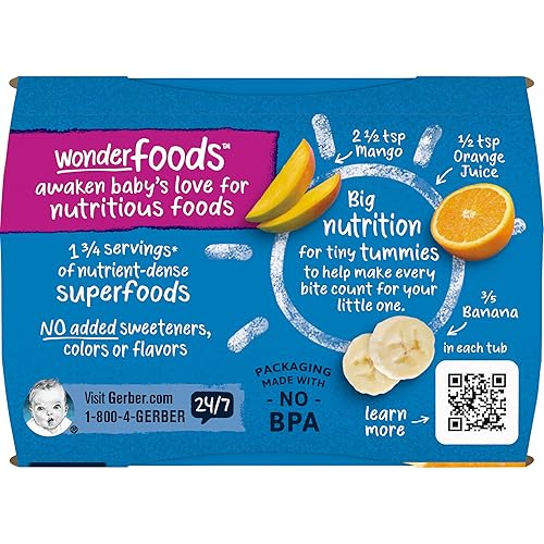 Gerber 2nd Foods Banana Blackberry Blueberry 4 Ounce Tubs, 2 Count (Pack of 8) - Jamouz