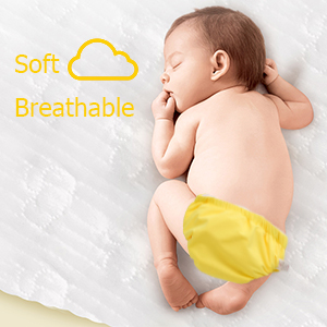 Premiun Quality & Adorable Designs