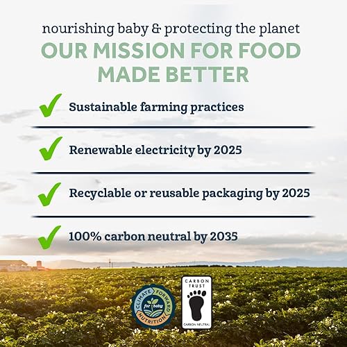 Gerber Organic Baby Food Pouches, Toddler, Banana Raspberry Yogurt Vanilla, 3.5 Ounce (Pack of 12) - Jamouz