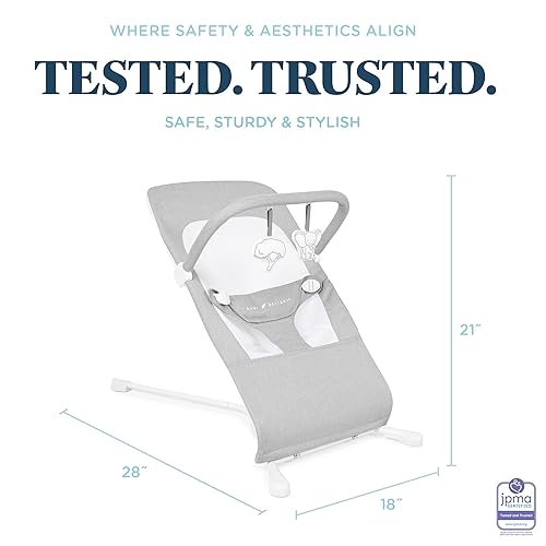 Baby Delight Highland Baby Bouncer | Infant | 0 – 6 Months | 3-Position Recline | Pebble Grey - Jamouz