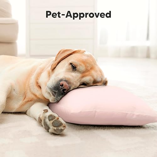 Toddler Pillow with Pillowcase - 13x18 My Little Cuddly Pillow, Viscose Derived From Bamboo Nursery Toddler Pillows for Sleeping,Kids Pillow,Small Travel Pillows,Mini Toddler Bed Pillow (Meadow) - Jamouz