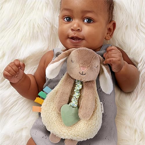 Itzy Ritzy - Itzy Lovey Including Teether - Baby Lovey with Teether, Textured Ribbons & Dangle Arms - Features Crinkle Sound, Sherpa Fabric and Minky Plush (Pink Bunny) - Jamouz