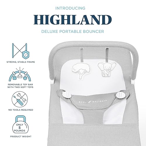 Baby Delight Highland Baby Bouncer | Infant | 0 – 6 Months | 3-Position Recline | Pebble Grey - Jamouz