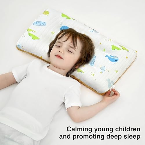 Toddler Pillow with Soft Minky Dot Fabric,19X11inches Machine Washable,100% Cotton Kids Pillows for Sleeping,Breathable and Skin-Friendly,Kids Sleeping Pillow for 2-6 Year Old (Blue) - Jamouz