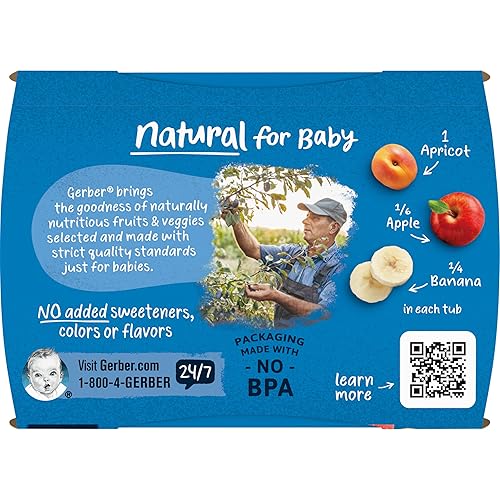 Gerber 2nd Foods Banana Blackberry Blueberry 4 Ounce Tubs, 2 Count (Pack of 8) - Jamouz