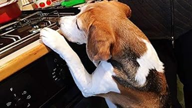 Silicone Gas Stove Child Safety Knob Locks | Stove Knob Cover (5 Pk) (Gray) - Jamouz