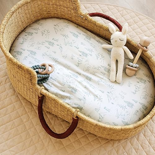 Baby Changing Pad Cover 2-Pack for Girls (Fleurette) - Premium Fitted Sheets Baby Diaper Changing Table Cover - Buttery Soft Cotton Blend - Jamouz