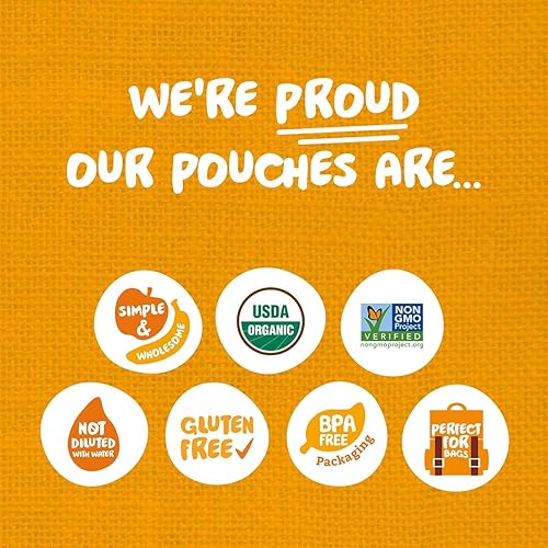 Pumpkin Tree Organics Super Oats & Seeds, Banana & Strawberry, 4 Ounce (Pack of 10) - Jamouz