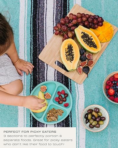 Hippypotamus Toddler Plates with Suction - 100% Food-Grade Silicone Baby Plates - Microwave & Dishwasher Safe - BPA Free - Set of 3 (Sage/Blush/Nude) - Jamouz