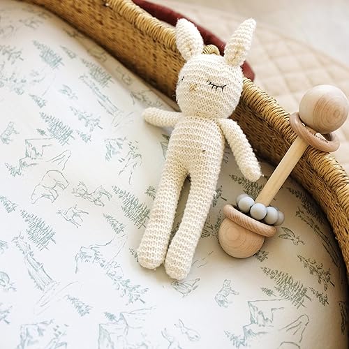 Baby Changing Pad Cover 2-Pack for Girls (Fleurette) - Premium Fitted Sheets Baby Diaper Changing Table Cover - Buttery Soft Cotton Blend - Jamouz