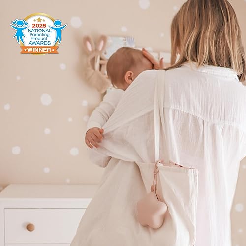 Moonkie Silicone Pacifier Holder Case, Cute Portable Pacifier Storage Case, 2 Pack - Jamouz