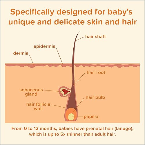 Johnson's Baby Tear Free Shampoo, No Parabens/Phthalates/Sulfates/Dyes, Fresh, 13.6 Fl Oz - Jamouz