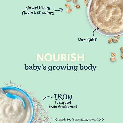 Gerber Baby Cereal Organic 1st Foods, Grain & Grow, Oatmeal, 8 Ounces (Pack of 6) - Jamouz