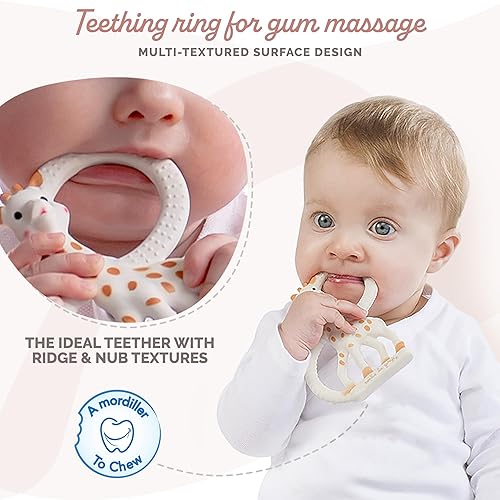 Sophie la girafe | Teething Ring | Made from Natural Rubber | Designed for Teething Babies | Awaken All 5 Senses | Easy to Clean - Jamouz