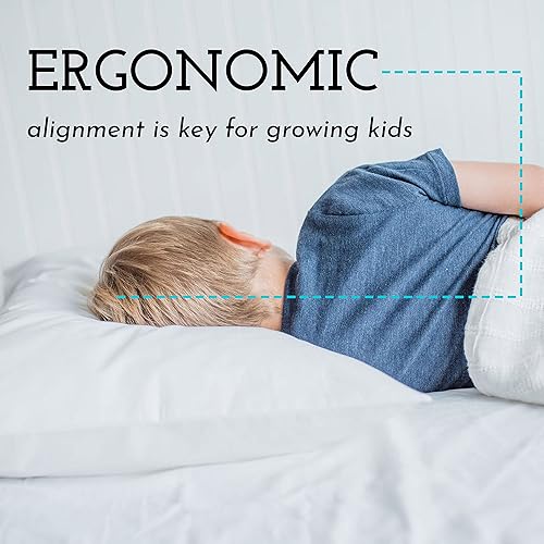 Little Sleepy Head Toddler Pillow for Kids (13 x 18) Bundle with Cozy White 100% Cotton Toddler Pillowcase - 2 Items - Jamouz