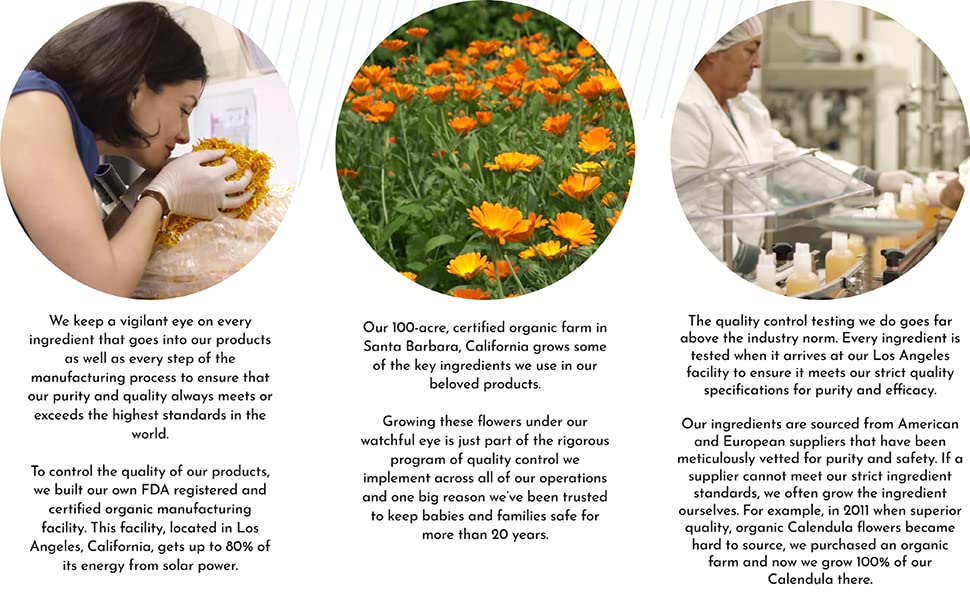 Calendula Everyday lotion