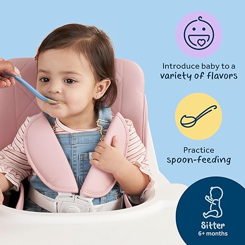 Gerber 2nd Foods Banana Blackberry Blueberry 4 Ounce Tubs, 2 Count (Pack of 8) - Jamouz