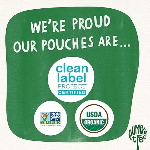 Pumpkin Tree Organics Super Oats & Seeds, Banana & Strawberry, 4 Ounce (Pack of 10) - Jamouz