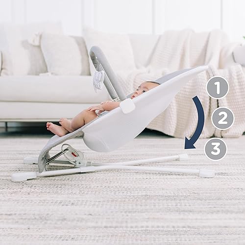 Baby Delight Highland Baby Bouncer | Infant | 0 – 6 Months | 3-Position Recline | Pebble Grey - Jamouz