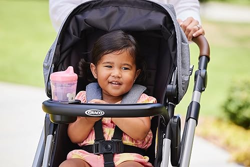 NUK Sesame Street Hard Spout Cup, 10 Oz, 2 Pack – BPA Free, Spill Proof Sippy Cup - Jamouz