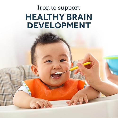 Gerber Baby Cereal Organic 1st Foods, Grain & Grow, Oatmeal, 8 Ounces (Pack of 6) - Jamouz