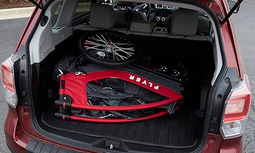 Flyer™ Duoflex 2 in 1 Bike Trailer and Double Stroller for Toddlers, 1+ Years - Jamouz