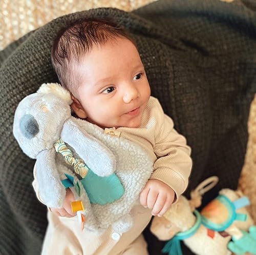 Itzy Ritzy - Itzy Lovey Including Teether - Baby Lovey with Teether, Textured Ribbons & Dangle Arms - Features Crinkle Sound, Sherpa Fabric and Minky Plush (Pink Bunny) - Jamouz