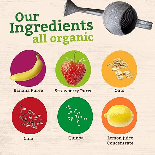 Pumpkin Tree Organics Super Oats & Seeds, Banana & Strawberry, 4 Ounce (Pack of 10) - Jamouz