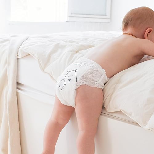 Parasol Clear+Dry Natural Training Diaper Pants, Pure Ingredients, Water Based Ink, Non-Woven Fabric with Dermatest Excellent Seal, Rash Protection, Size 5 (26+ lbs), 48 Count - Jamouz