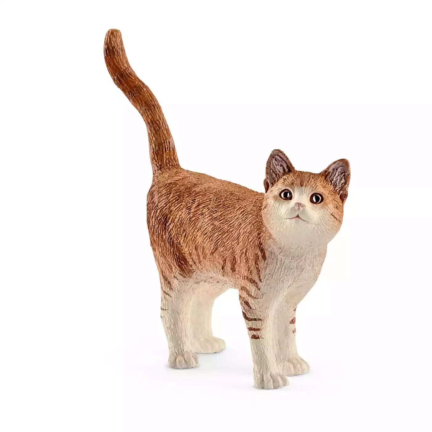Katze - Jamouz