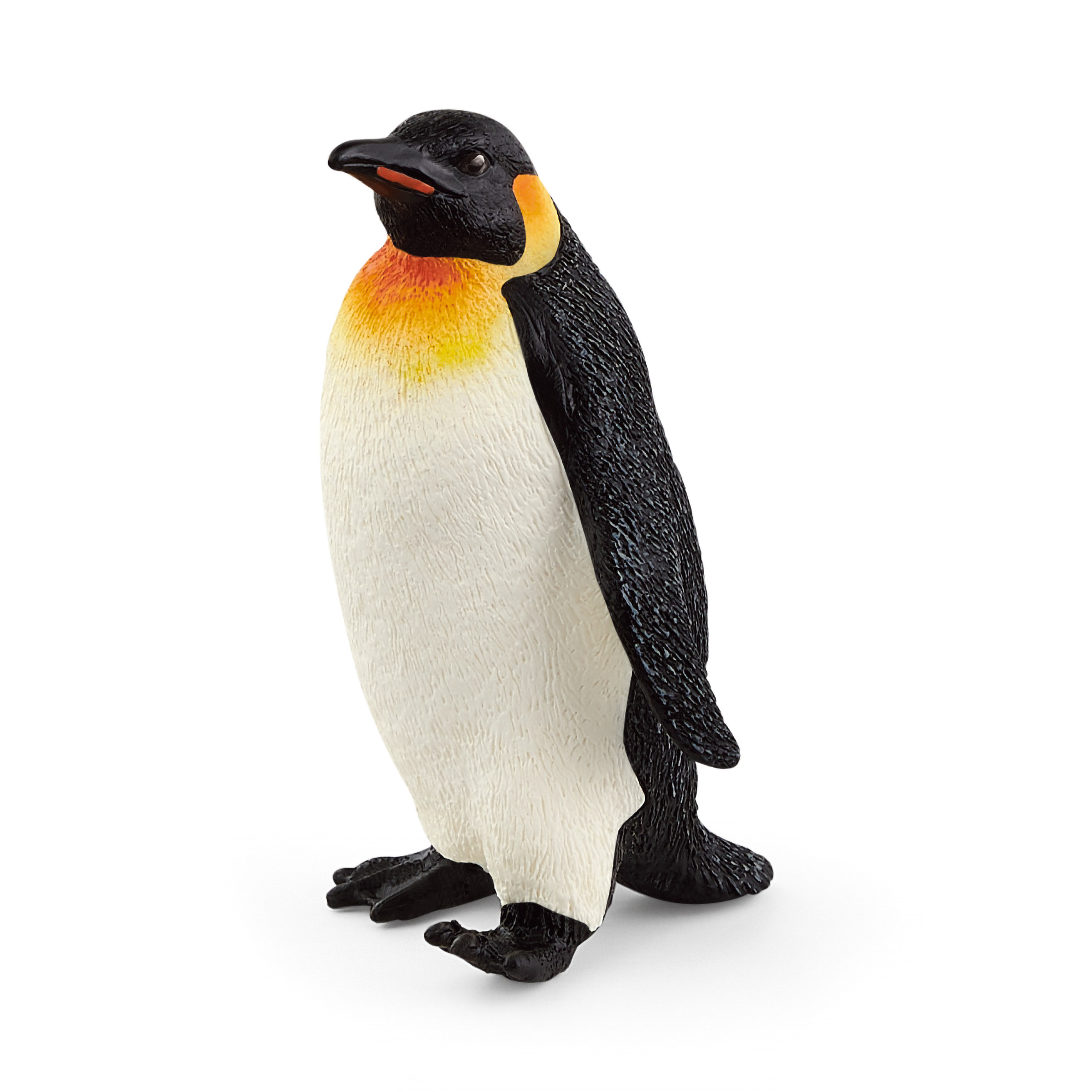 Pinguin - Jamouz