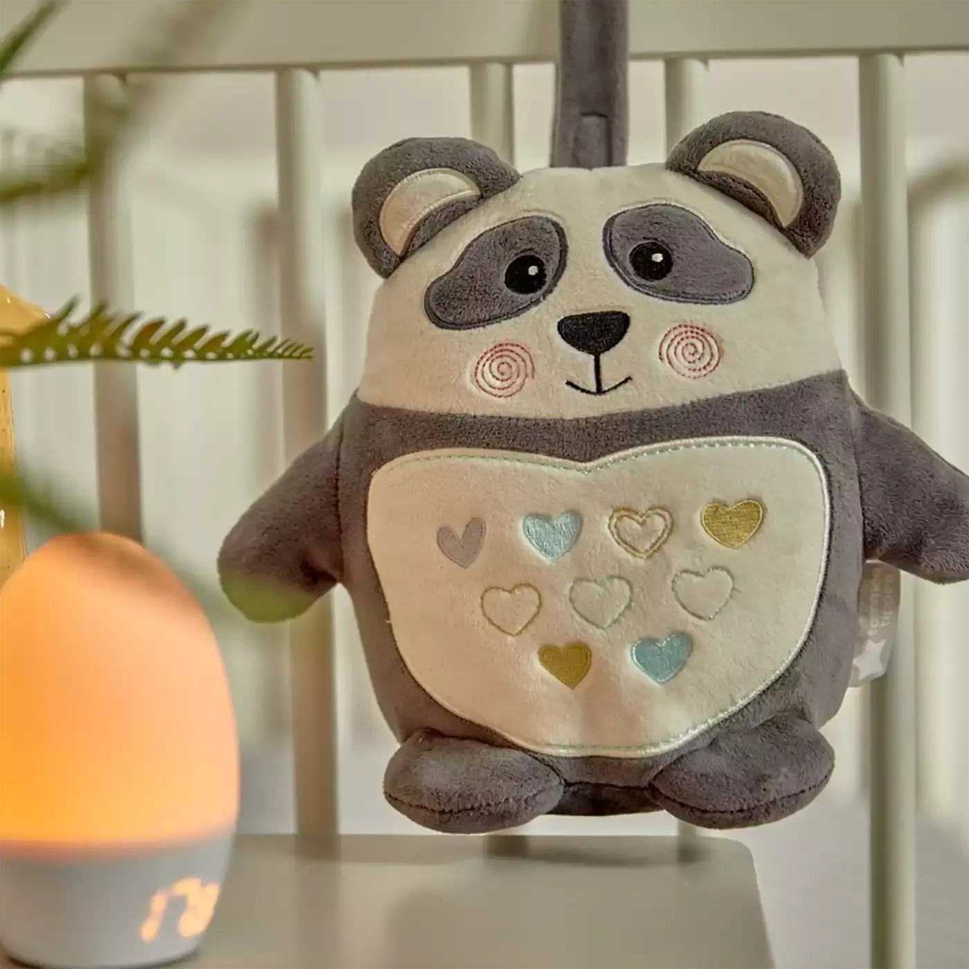 Pip der Panda - Jamouz
