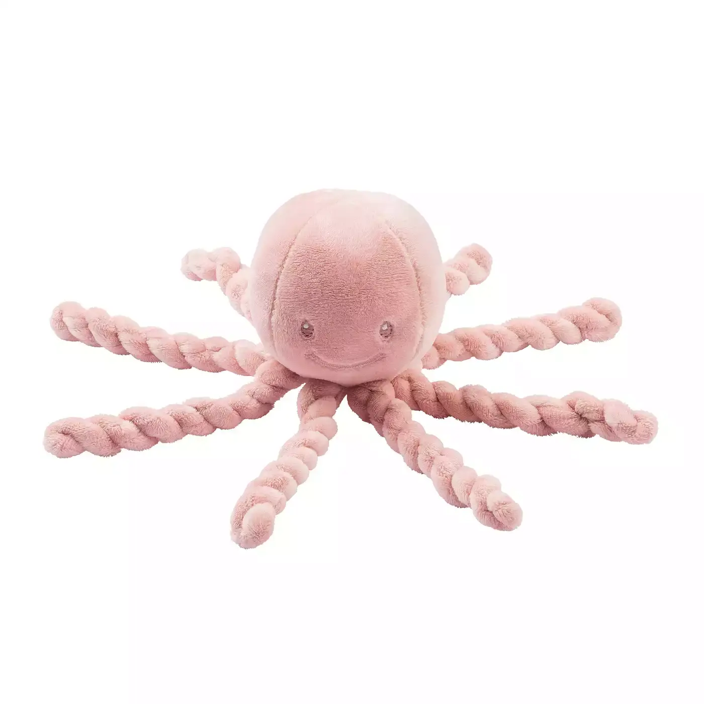 Lapidou Kuscheloktopus - Jamouz