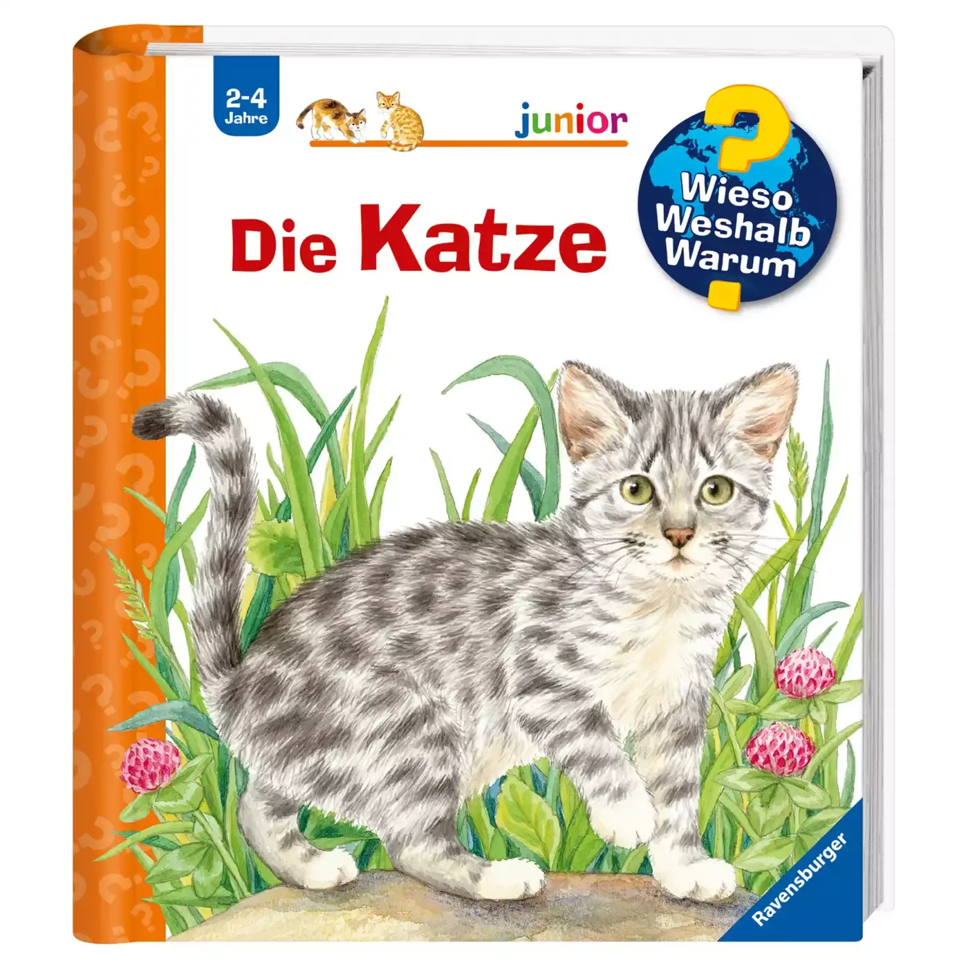 WWW junior Die Katze - Jamouz