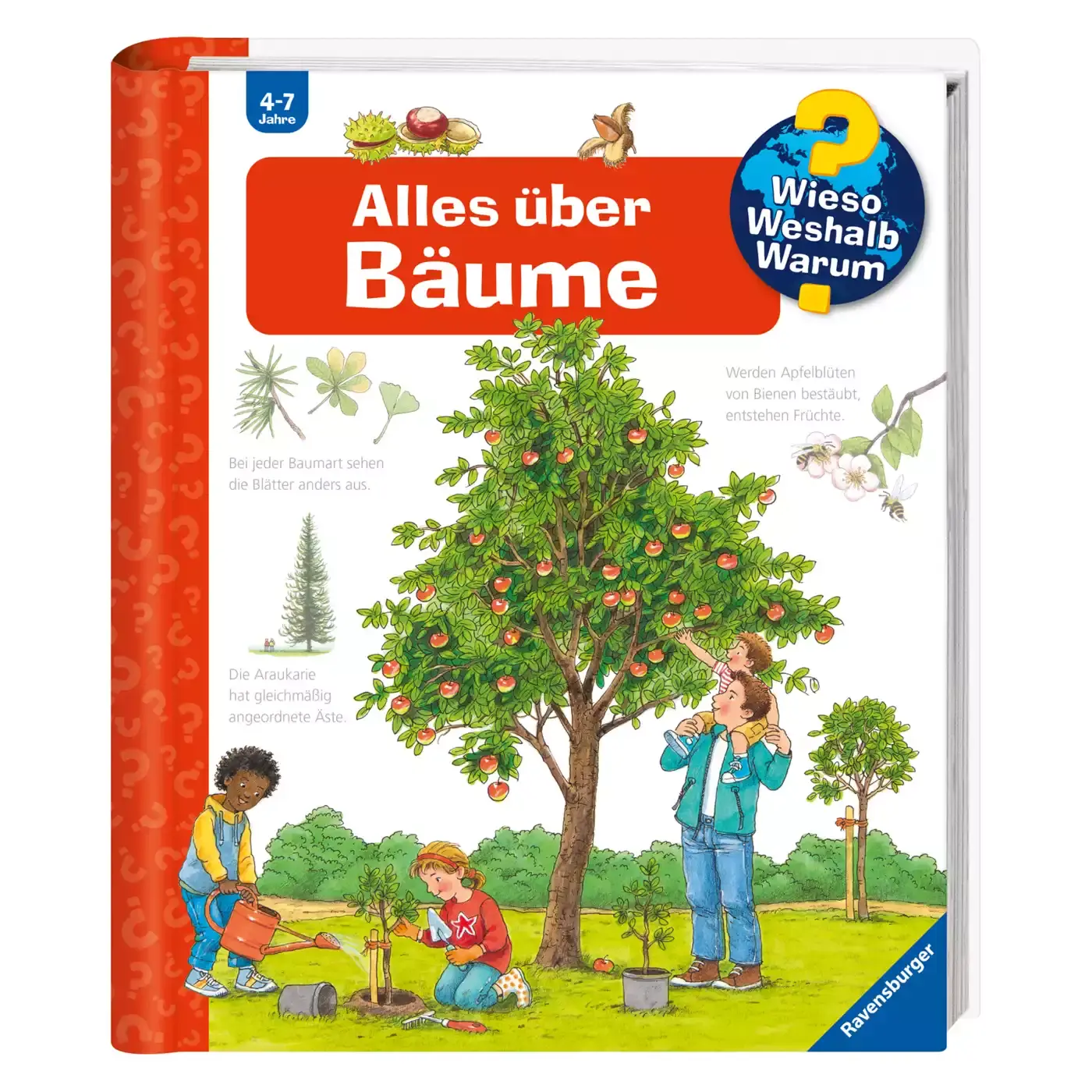 WWW Alles über Bäume - Jamouz
