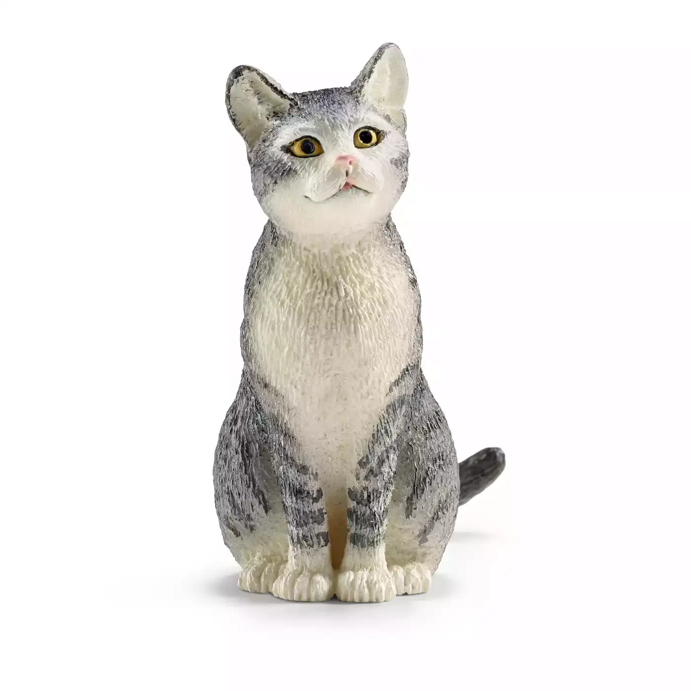 Katze sitzend - Jamouz