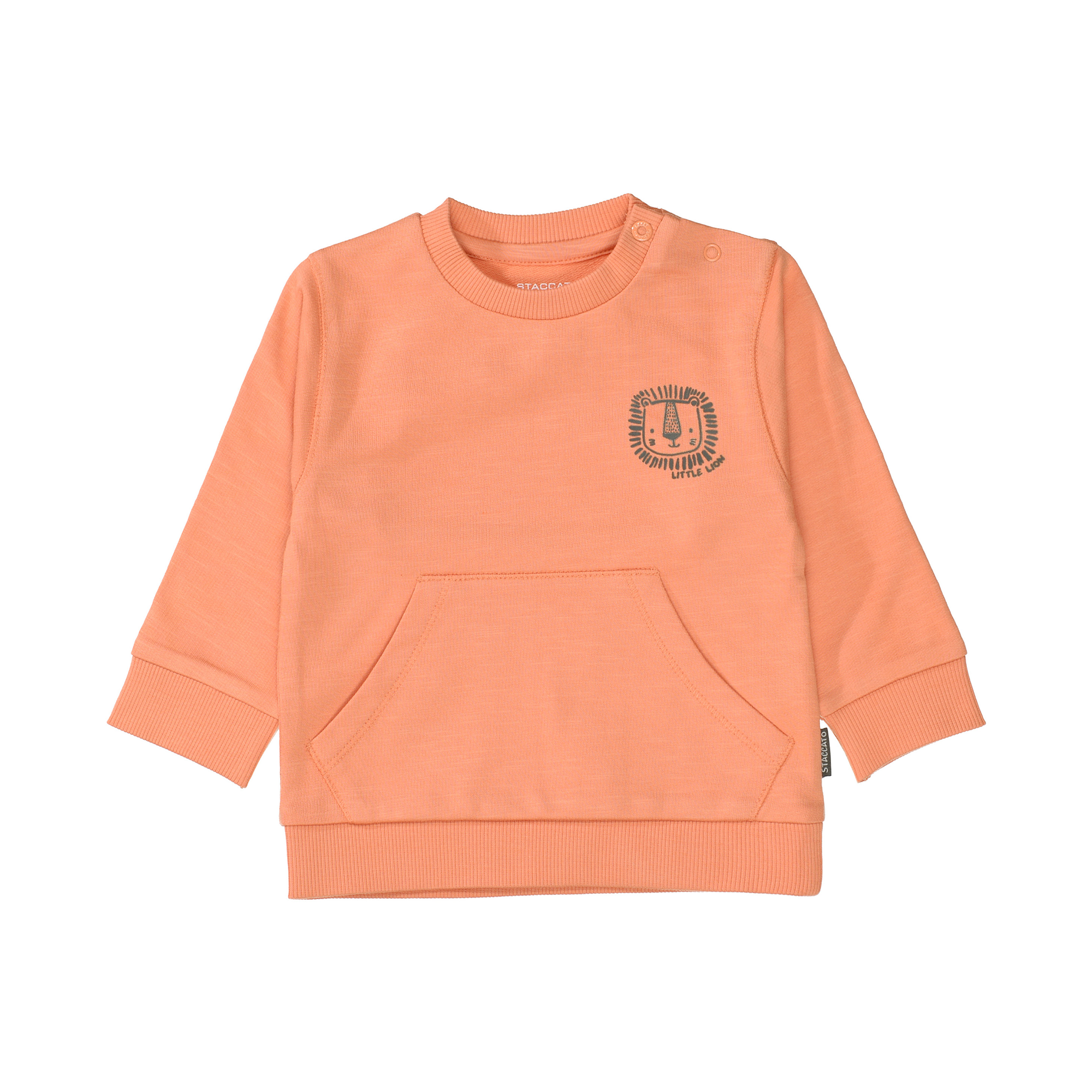 Sweatshirt Little Lion - Jamouz