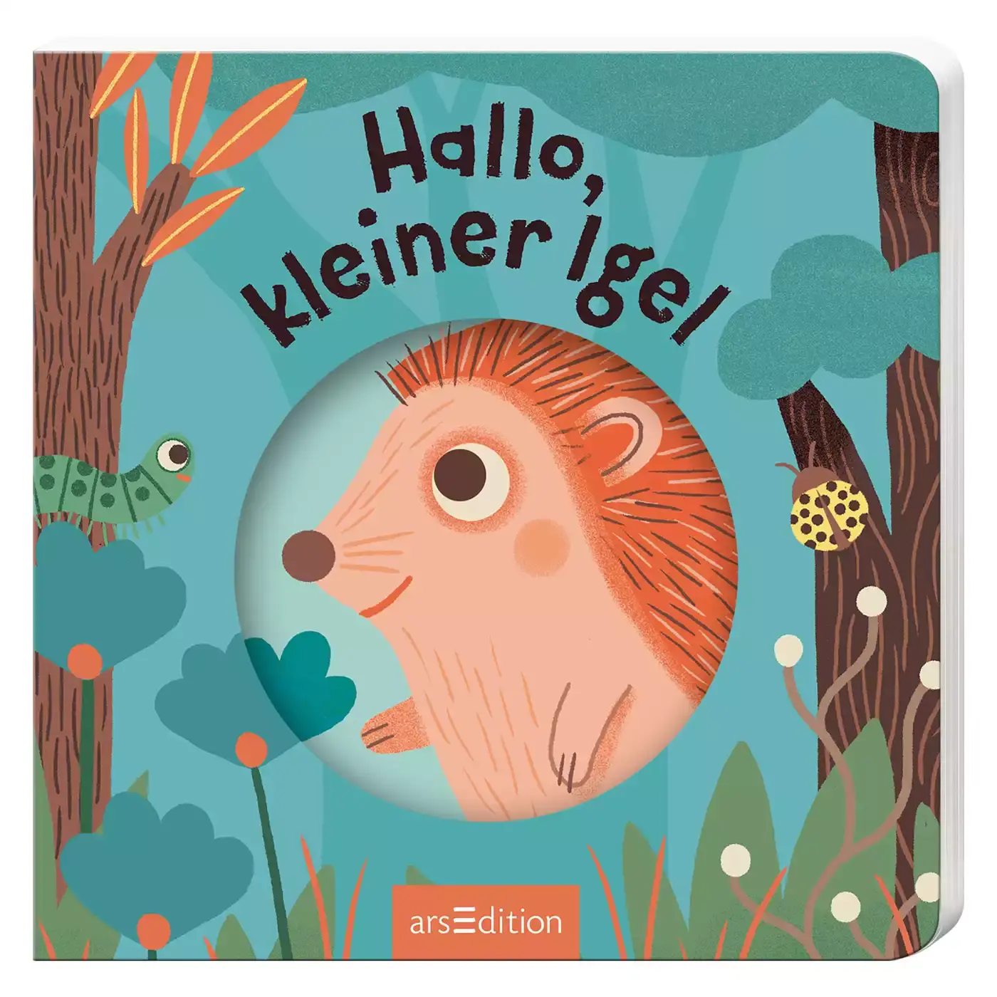 Hallo, kleiner Igel - Jamouz