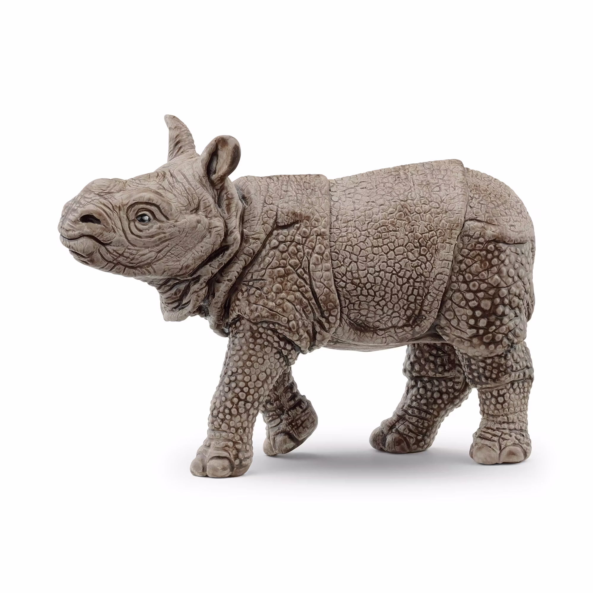 Panzernashorn Baby - Jamouz