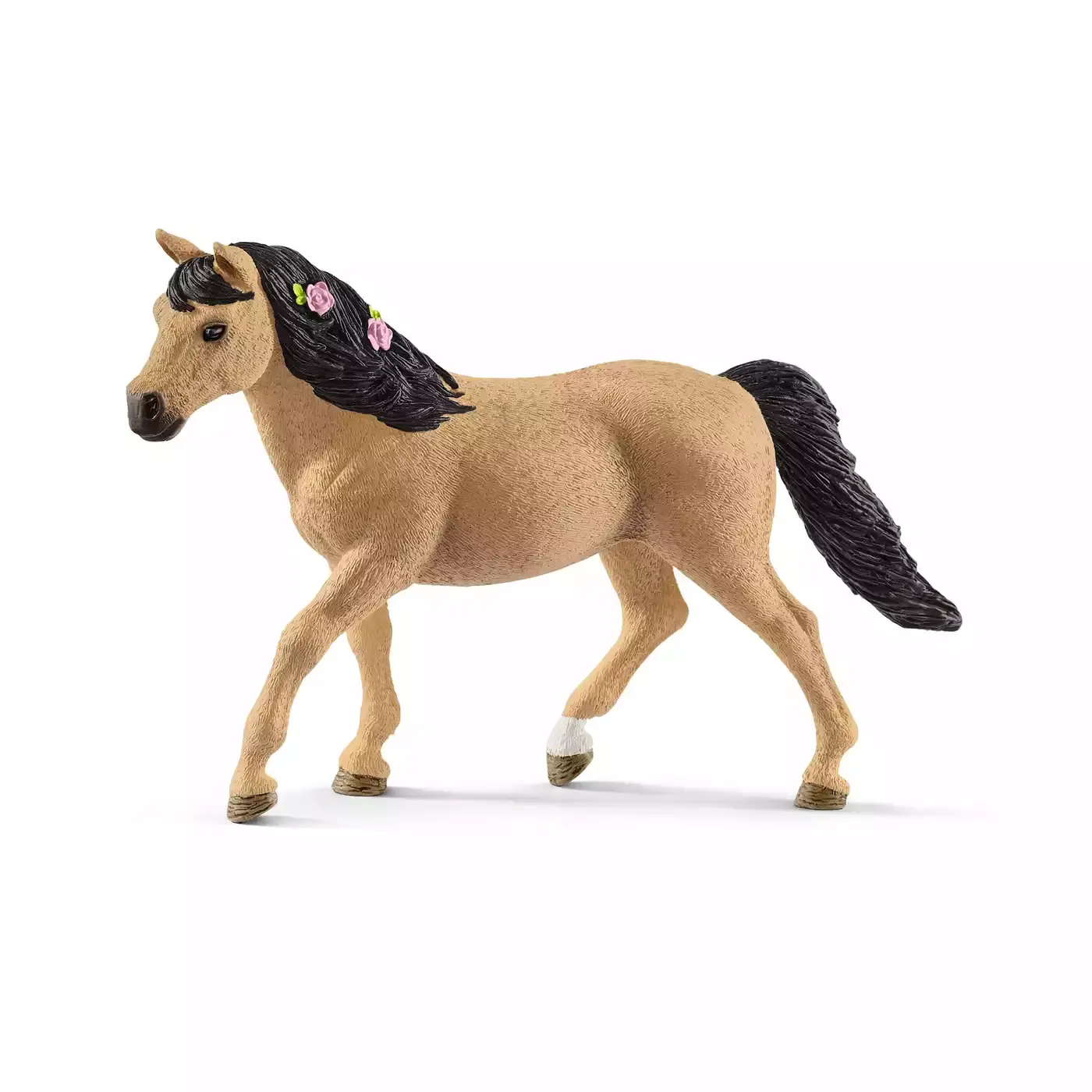 Connemara Pony Stute - Jamouz