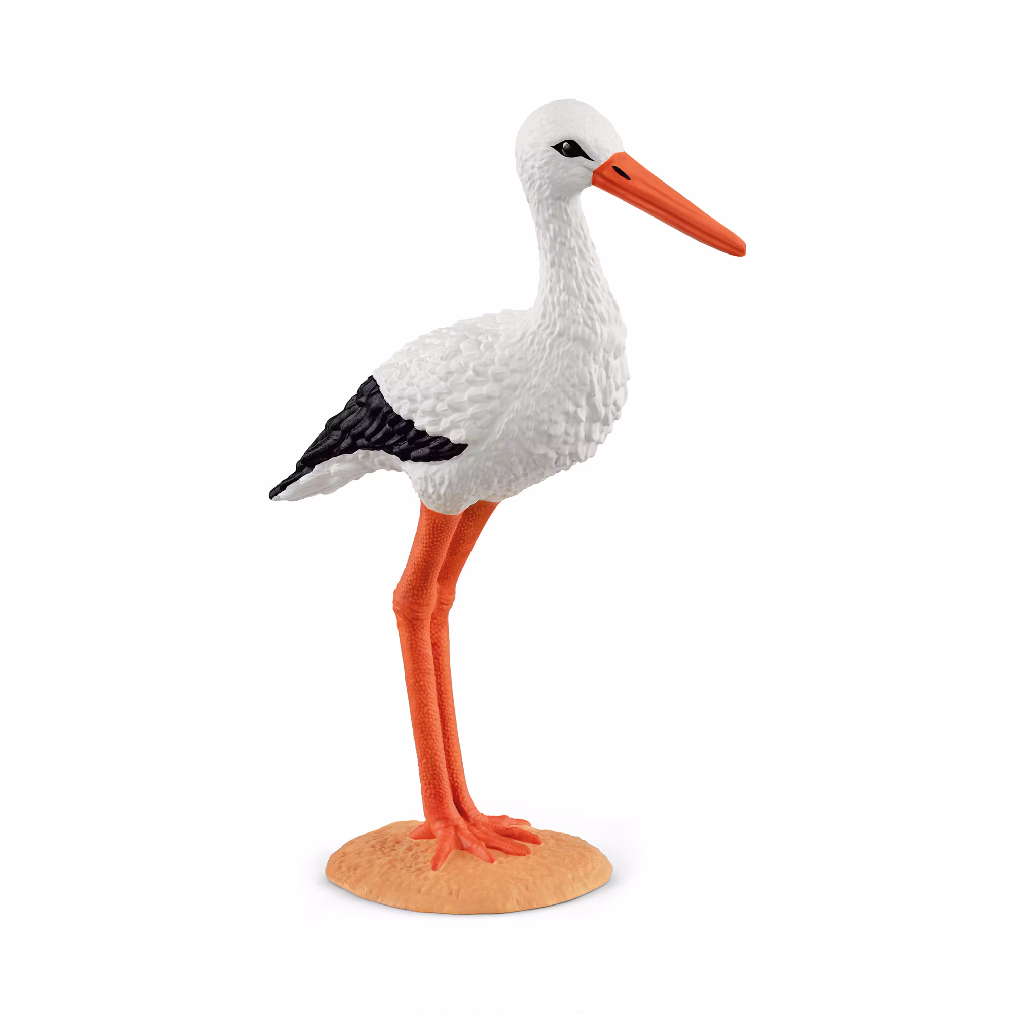 Storch - Jamouz
