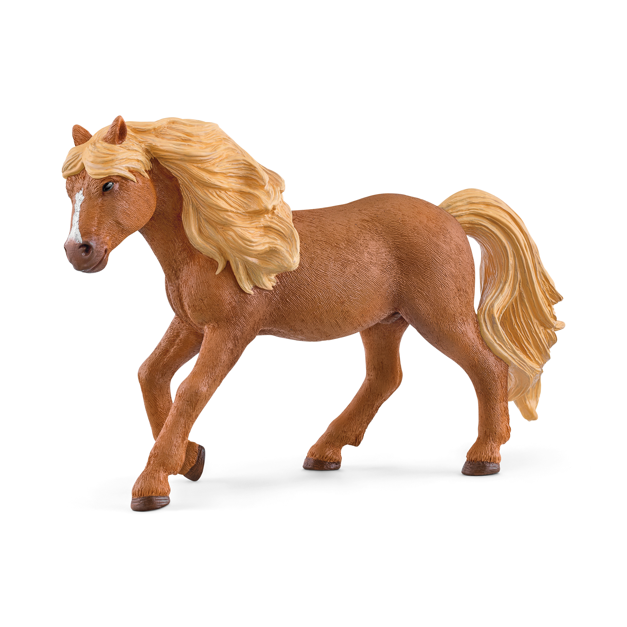 Islandpony Hengst - Jamouz