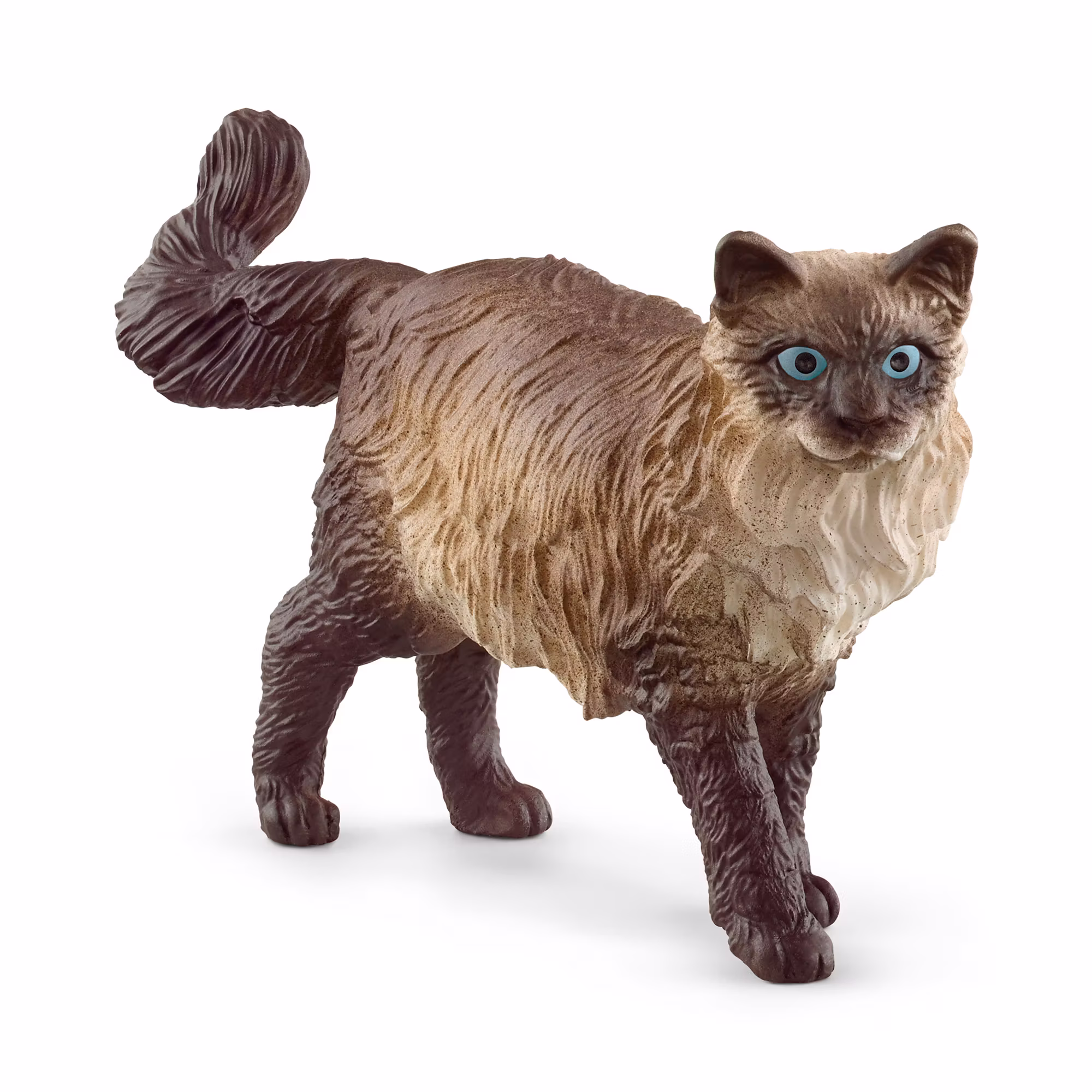 Ragdoll Katze - Jamouz