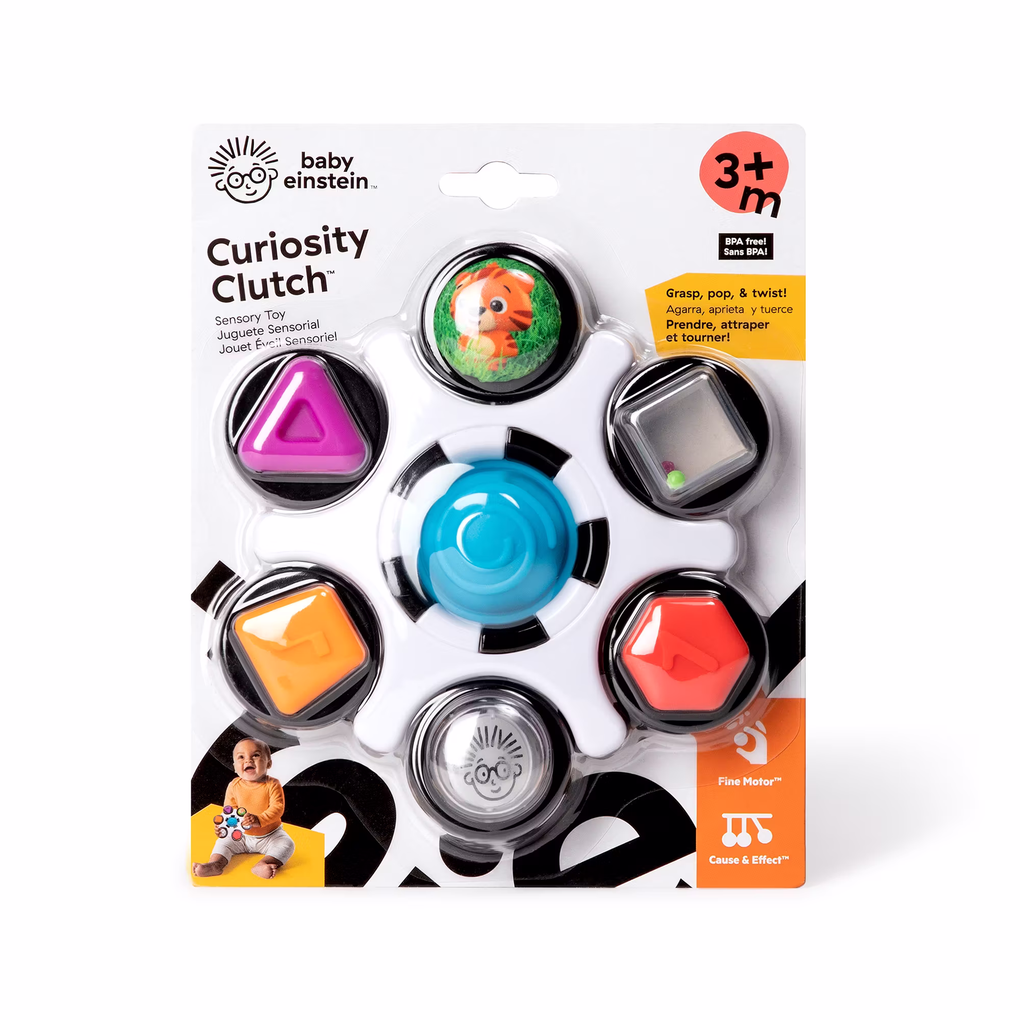Curiosity Clutch - Jamouz