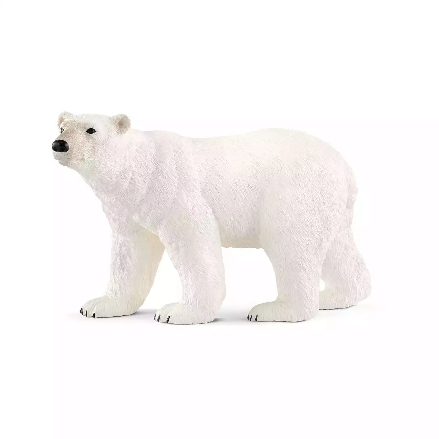 Eisbär - Jamouz