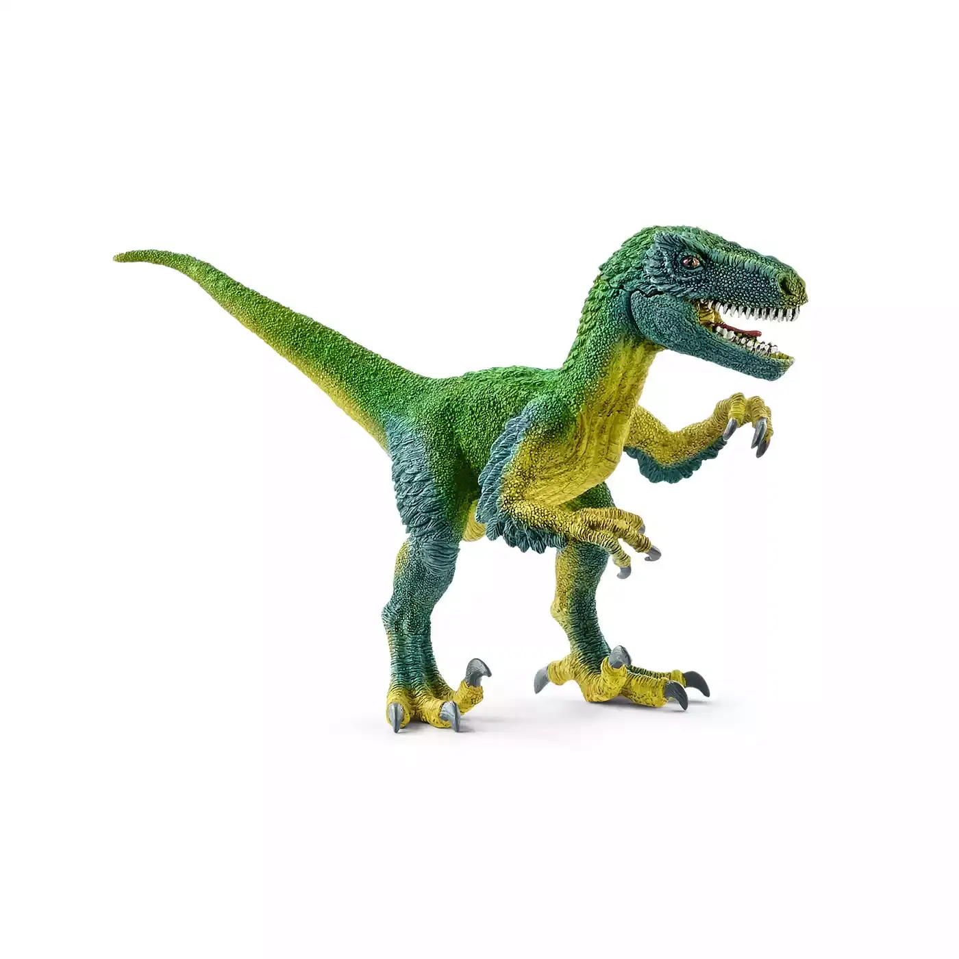 Velociraptor - Jamouz