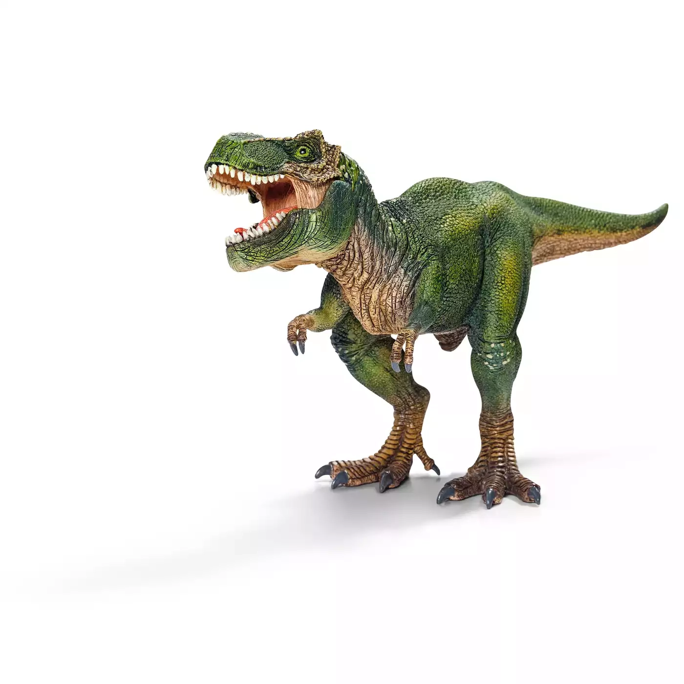 Tyrannosaurus Rex - Jamouz